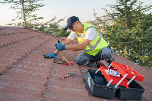 Best Flat Roof Repair Services  in Randolph, NE