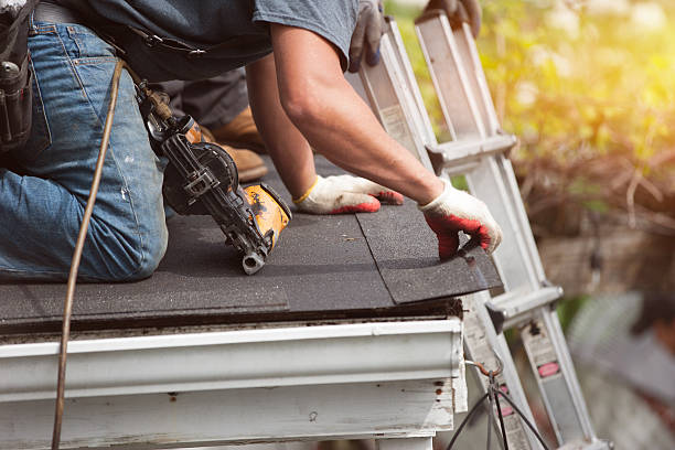 Best Local Roofing Companies  in Randolph, NE